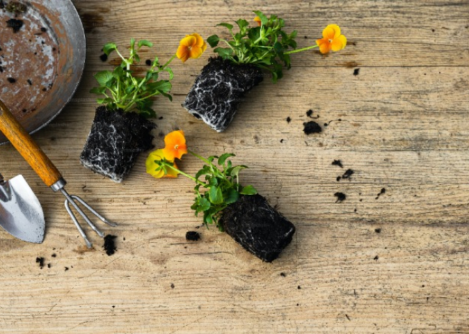 Садовый инвентарь и его назначение